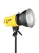 Westcott Photo Basics 500Y - 500 watt Constant Light (Yellow)