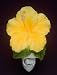 Yellow Hibiscus Night Light - Ibis & Orchid Flowers of Light Collection