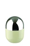 Typhooon Capsule Gloss Cream Glazed Ceramic Small Storage Canister with Stainless Steel Airtight Lid  from Typhoon Europe