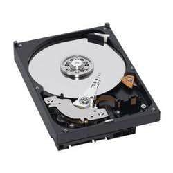 Western Digital 1 TB Caviar Green SATA Intellipower 8 MB Cache Bulk/OEM Desktop Hard Drive WD10EAVS