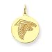 14K Atlanta Falcons Logo Medium Round Charm