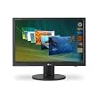 LG Electronics 22-Inch LCD Monitor (L226WTY-BF)