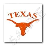 Texas Longhorn - 6x6 Iron On Heat Transfer For White Material