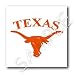 University - Texas Longhorn - Iron on Heat Transfers