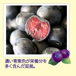 ルテイン 90粒 90的副歌粮食蓝莓叶黄素,代购日