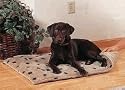Self-Warming Thermal Dog Cushion (X-LARGE)