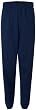 Hanes ComfortBlend EcoSmart Sweatpants