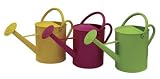 Living Accents Watering Can (WAC6065-C) 4 each