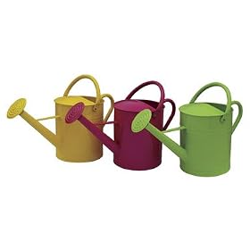 4 each: Living Accents Watering Can (WAC6065-C)
