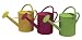 Outdoor Living : Living Accents Watering Can (WAC6065-C) 4 each