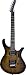 Parker Guitars