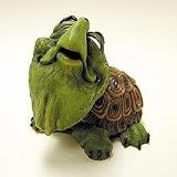 Turtle Bobble HeadIMAGE