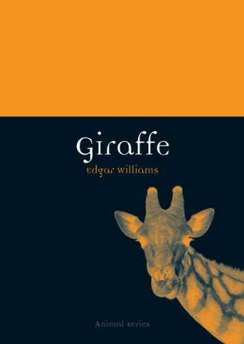 giraffe reaktion books animal