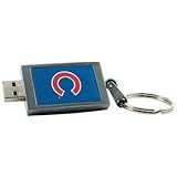 Centon DataStick Keychain MLB Chicago Cubs Edition - USB flash drive - 2 GB - Hi-Speed USB - silver