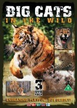 BIG CATS IN THE WILD SET