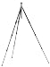 Gitzo GT0540 6X Carbon Fiber 0 Series 3 Section G-Lock Mountaineer Tripod