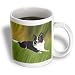 Dogs Border Collie - Border Collie - Mugs