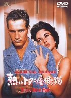 熱いトタン屋根の猫 [DVD]