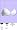 Rose Gingham Print