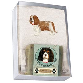 Single Gift Box with Cavalier Soap and Towel