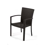 Senna Dining Amchair in Espresso Fabric: Jockey Red