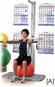 Theraband professional exercise station