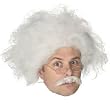 Adult Albert Einstein Costume Wig