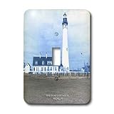 Sandy Mertens Wisconsin - Wind Point Lighthouse, Racine,WI (Vintage) - Light Switch Covers - single toggle switch