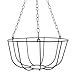 Garden Collection The Hanging Wire Basket