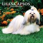 Lhasa Apsos 2010 Standard Wall Calendar By Browntrout