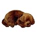 Perfect Petzzz Chocolate Lab