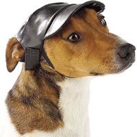 Dog Faux Leather Cap Large