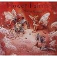 Flower Fairies 2009 Calendar