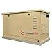 12/12 Kilo Liquid Propane / Natural Gas Air-Cooled Standby Generator, Steel Housing