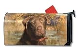 Chocolate Lab ( Labrador Retriever ) Magnetic Mailbox Cover - B00165NFAU
