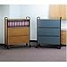 Medline Privacy Chart Shelves