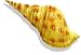 Spiral Shell 2 - Large