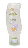 31wExCbLhPL. SL160  BabyGanics Foamin Fun Foaming Body Wash & Shampoo, Soothing Formula, Lavender, 10.65 Fluid Ounce Bottles