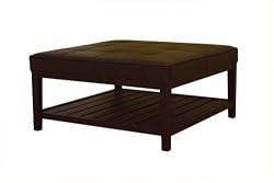 Baxton Studio Ivana Square Brown Leather Ottoman With Lower Shelf