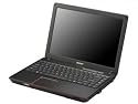 Sony VAIO VGN-TX5XN/B - Core Solo U1500 / 1.33 GHz ULV - Centrino - RAM 1 GB - HDD 100 GB - DVD±RW (±R DL) / DVD-RAM - GMA 950 - WLAN : 802.11a/b/g, Bluetooth 2.0 EDR - TPM - fingerprint reader - Vista Business - 11.1