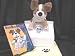 OwieBowWowie with Coloring Book & Blanket by Just Mom Inc