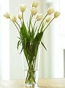 French Tulip Bouquet, Eco-Friendly - Veriflora Certified, White Tulip Bouquet