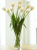 French Tulip Bouquet, Eco-Friendly - Veriflora Certified, White Tulip Bouquet