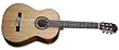 Guild&reg; GAD-C1 Acoustic Design Classical Guitar w/Hardshell Case