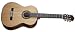 Guild&reg; GAD-C1 Acoustic Design Classical Guitar w/Hardshell Case