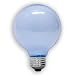 GE 48695 40 Watt Reveal Globe G25 Light Bulb, Frosted, 6 Pack