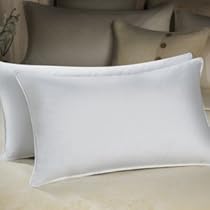 Best Price Bellazure Duo Feather Amp Down Pillow Queen Size