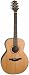Takamine GS430S G NEX Acoustic Guitar, Satin Cedar