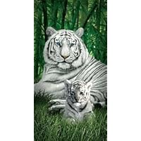 White Tiger and Baby Terry Velour Beach/Bath Towel