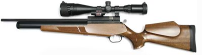 Evanix Renegade Carbine Combo air rifle